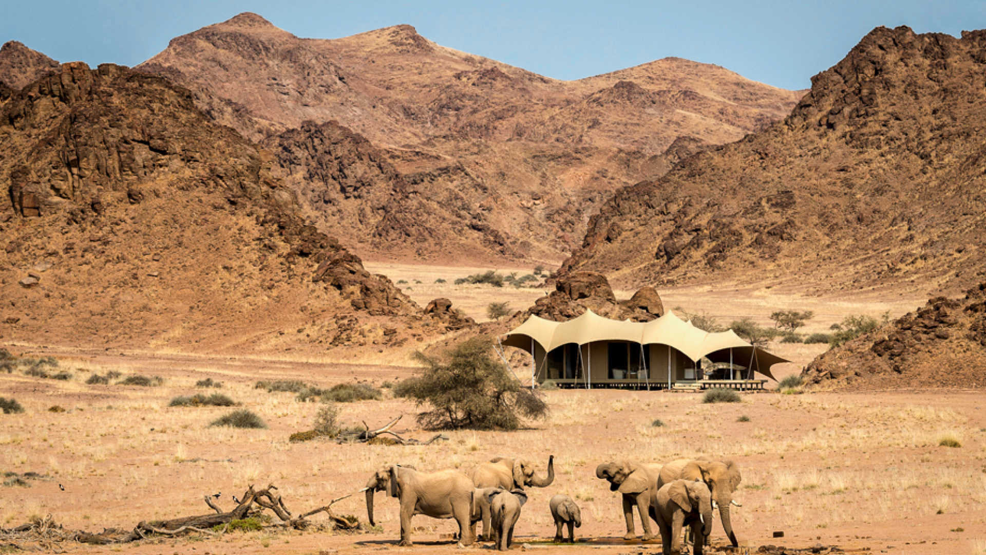 Fascynujący świat Afryki – Namibia